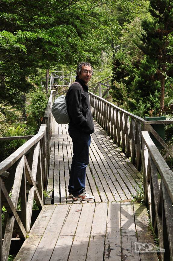 Caminhando nas passarelas de Caleta Tortel, no sul do Chile